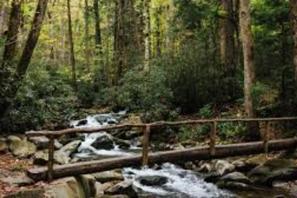 Art'S Bungalow-Wooded Seclusion 1 Mi To Deep Creek And Bryson City Exterior photo